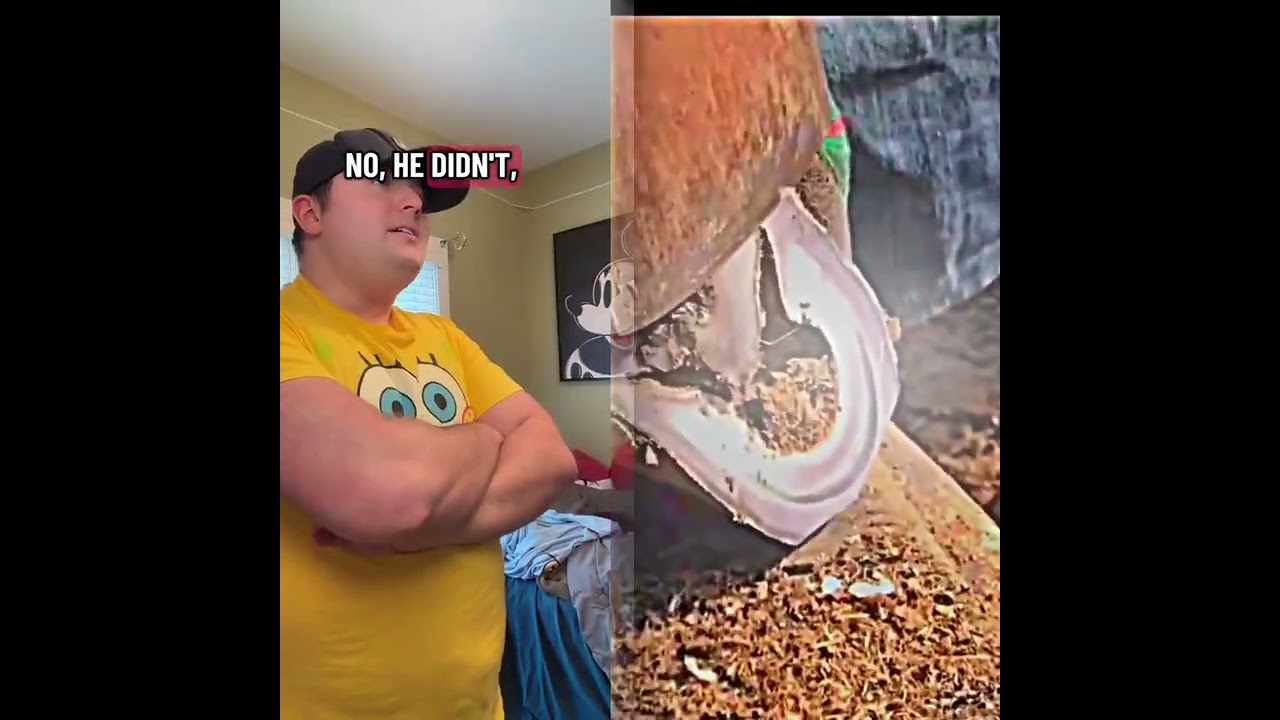 🤣👌👌👌2025 pov Must-Watch Crazy Clips Compilation #humor #fypシ #pov #fyp #foryou 😍😜