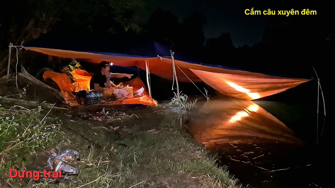 Dựng trại cắm câu xuyên đêm || Khu này ếch còn rất nhiều
