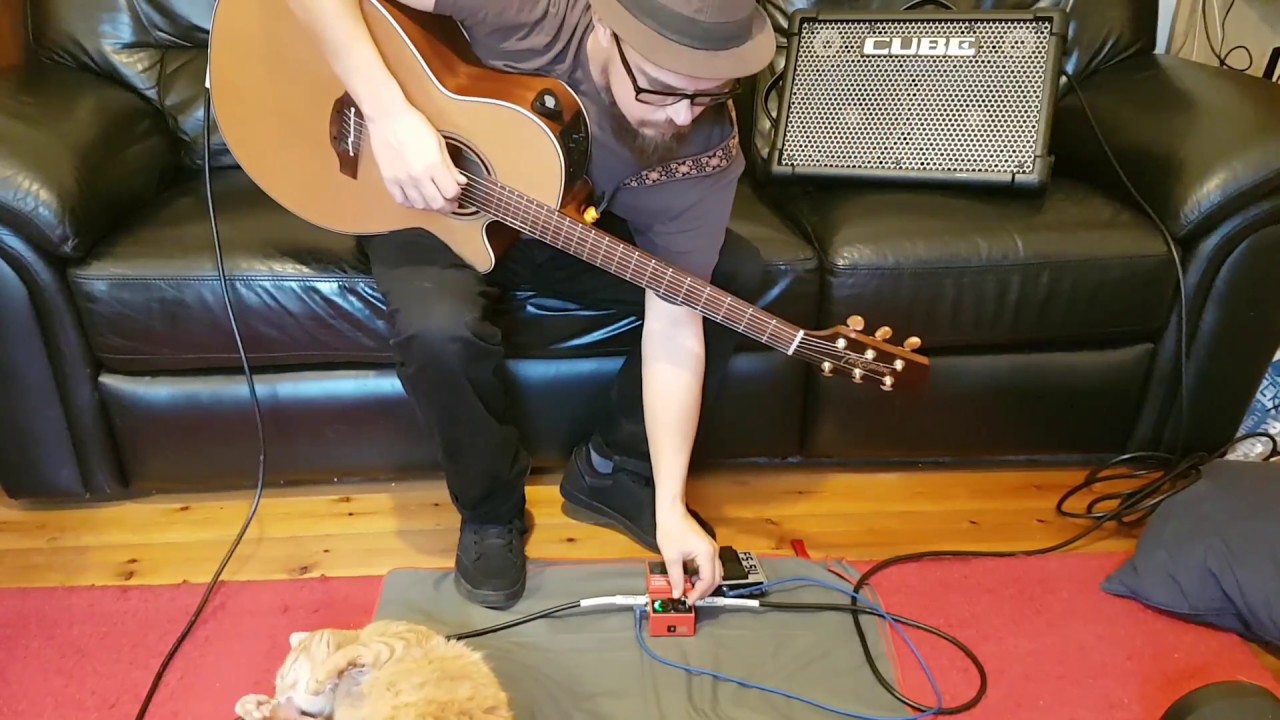 Boss RC1 Funk looping lesson. With added cat
