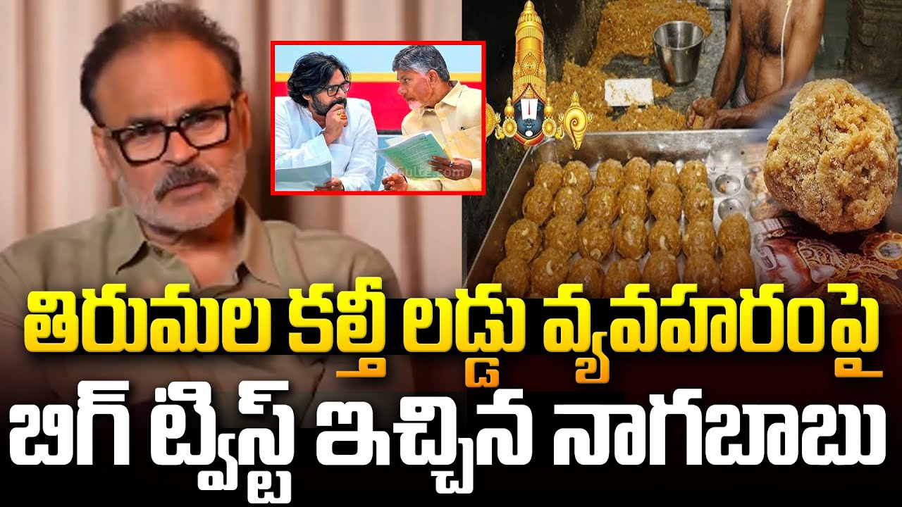 తిరుమల లడ్డుపై కూటమికి షాకిచ్చిన నాగబాబు😱#nagababu React On #tirumalaladdu #pawankalyan #ysjagan