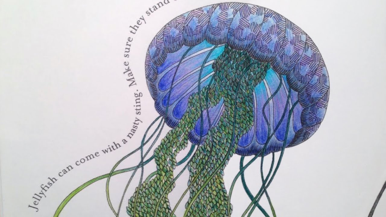Watch me colour: Jelly Fish | Animal Kingdom Color me, Draw me