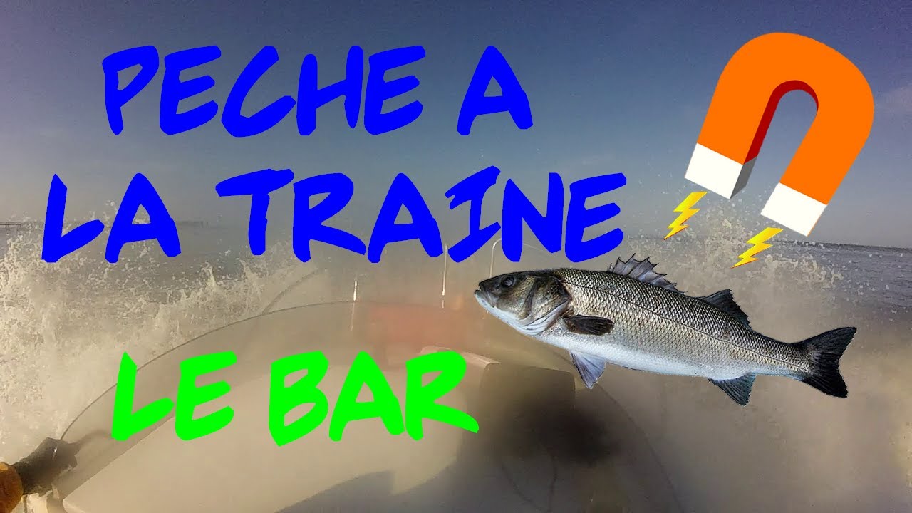 🎣 PECHE DU BAR  aux leurres à la traîne 🎣 [loup traine] avec treuil à enrouleur en vendée