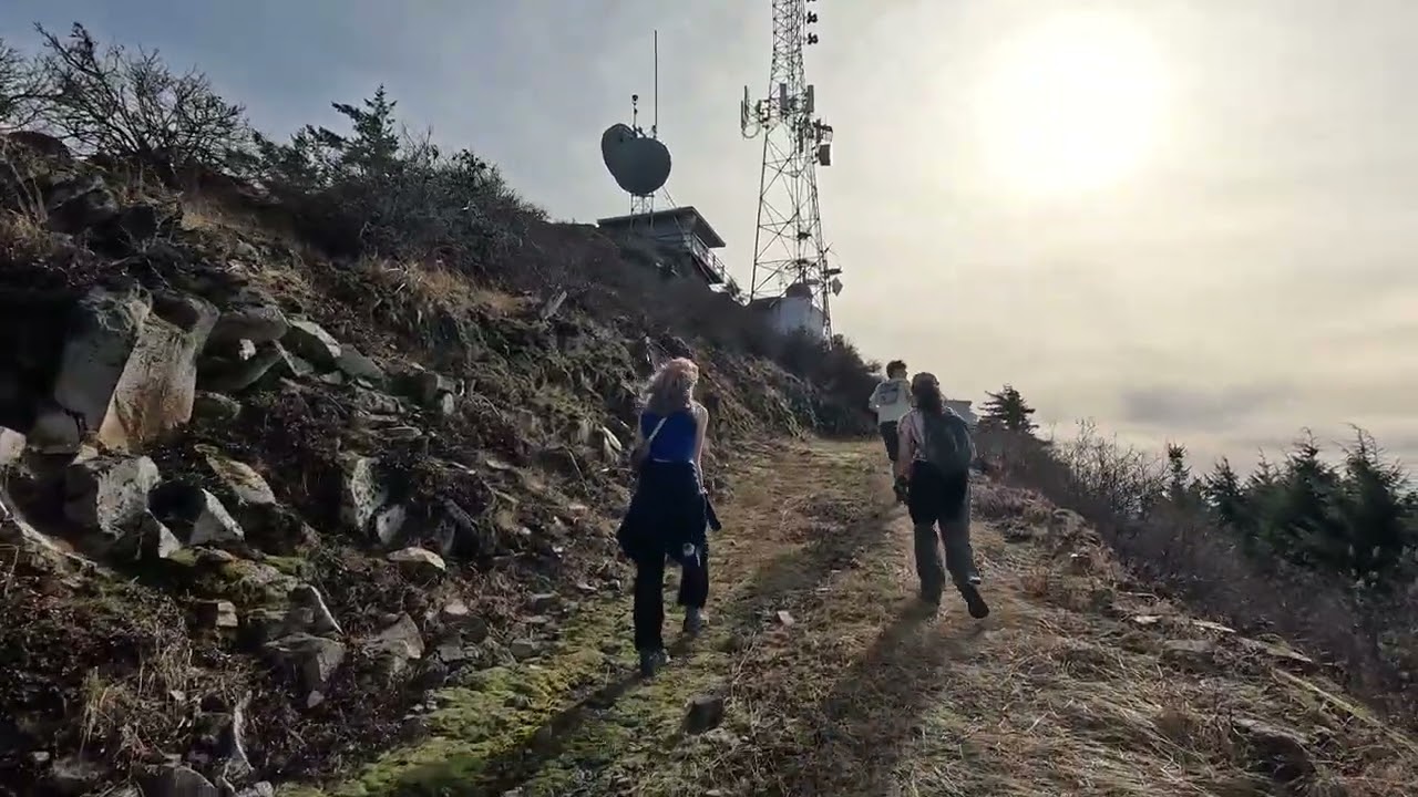 Fire Lookout