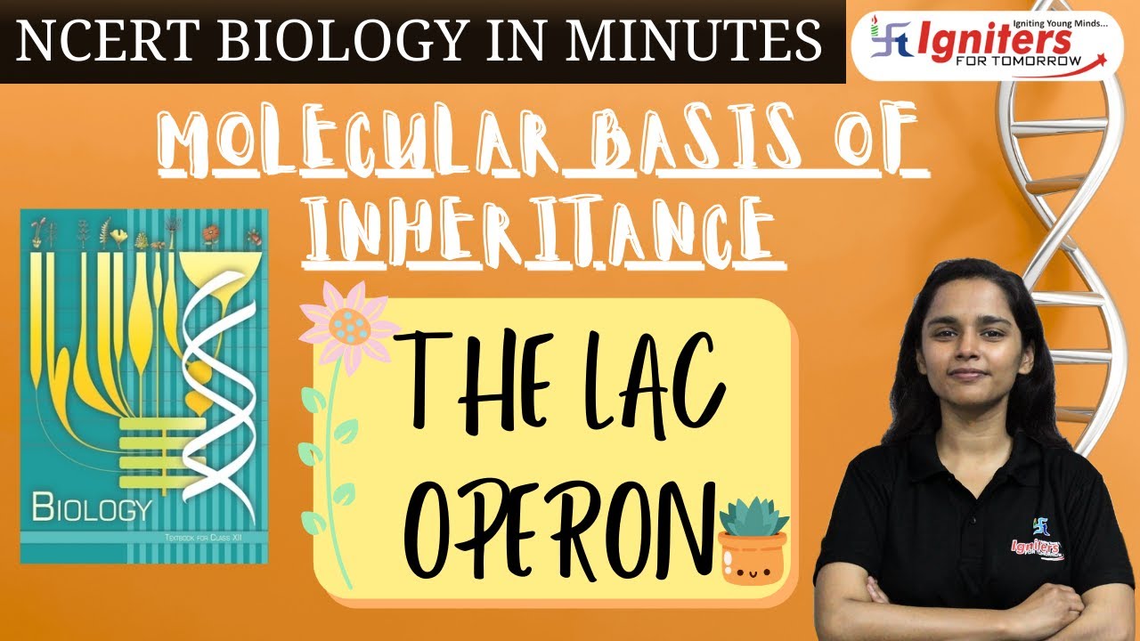 The Lac Operon | Molecular Basis of Inheritance | NCERT Biology in Minutes |Class 12 & NEET