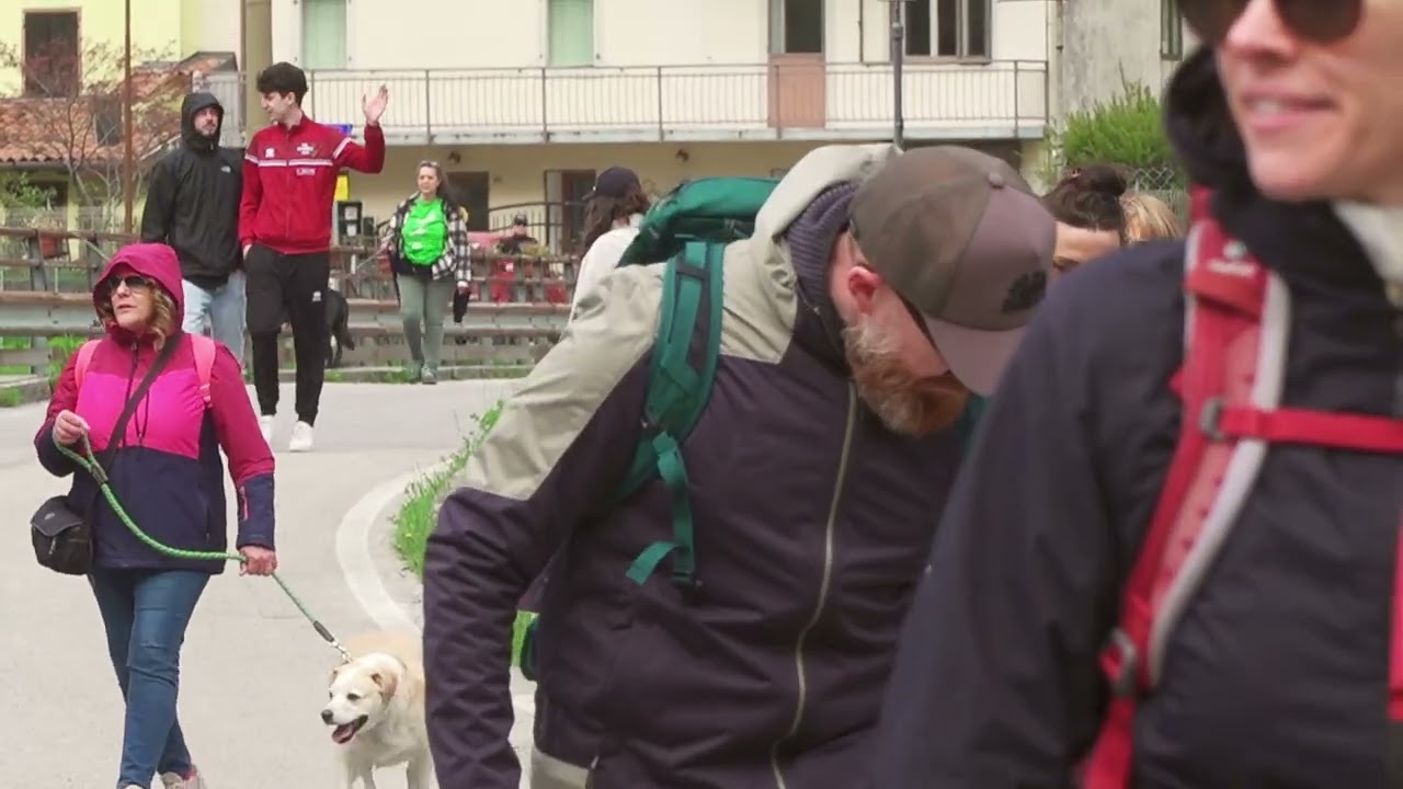 Educazione Cinofila in Natura Tra Passeggiate e Consigli Utili