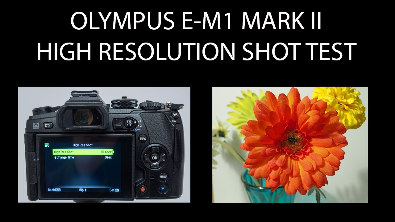 Olympus E-M1 Mark II - High Resolution Shot Test