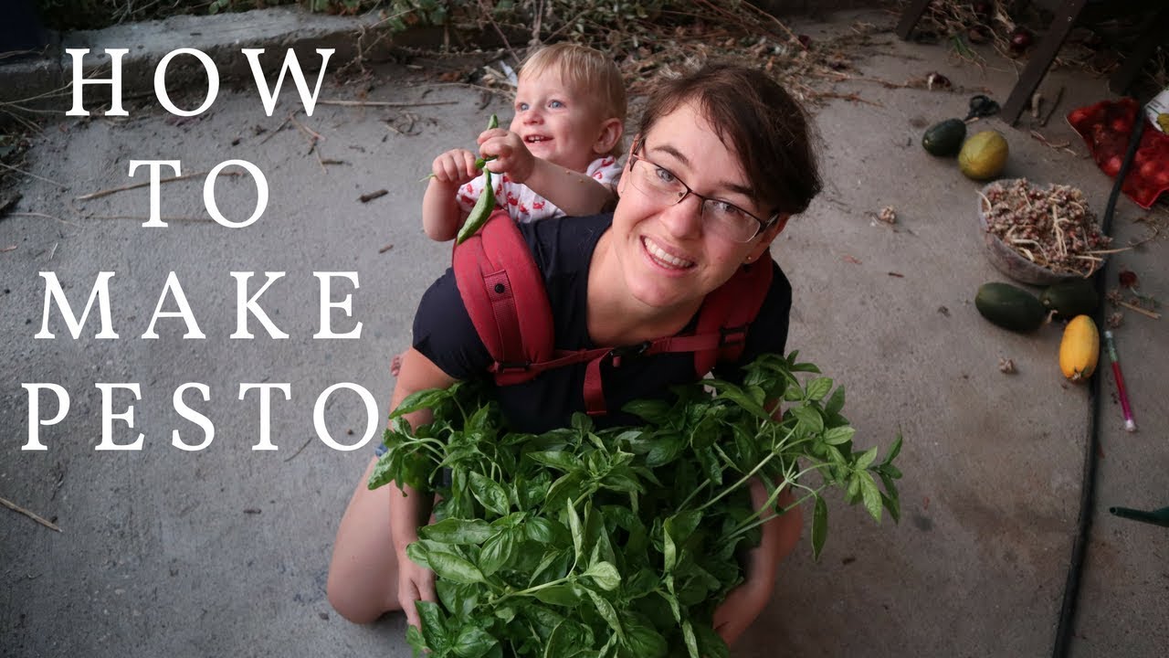MAKING PESTO: preserving our basil harvest