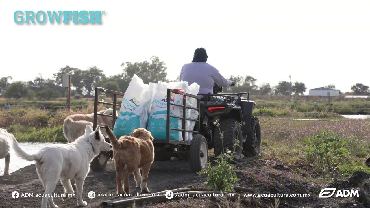 José Luis,Granja Acuícola Jamay Jalisco