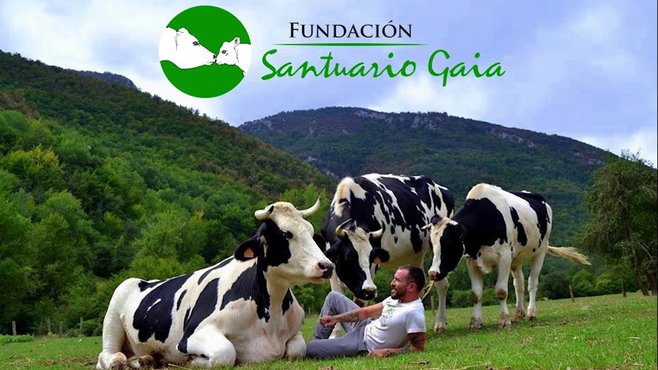 Entrevista en RTVE a Ismael López, co-fundador de Fundación Santuario Gaia