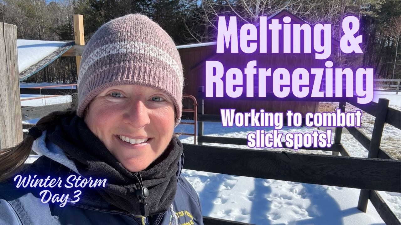 Melting and Refreezing
