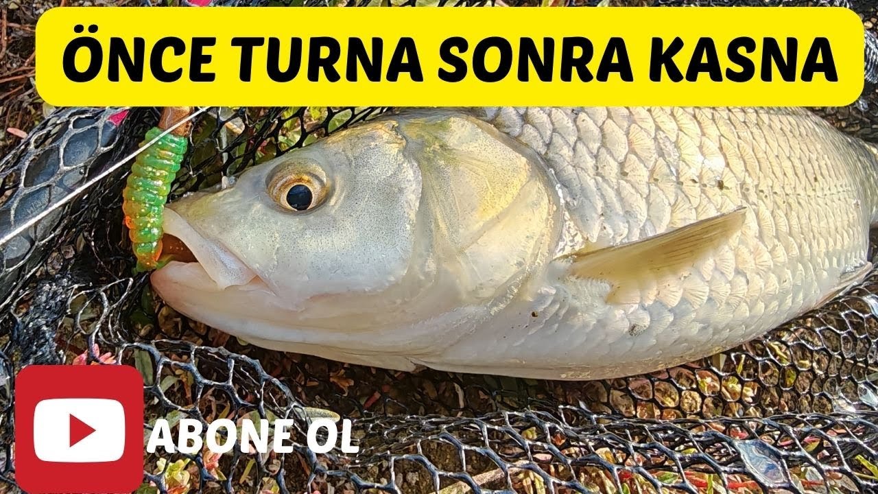 AKSİYON DOLU KASNA AVI!!! - SABAH BAŞLADIĞIMIZ AV AKŞAM BİTTİ -