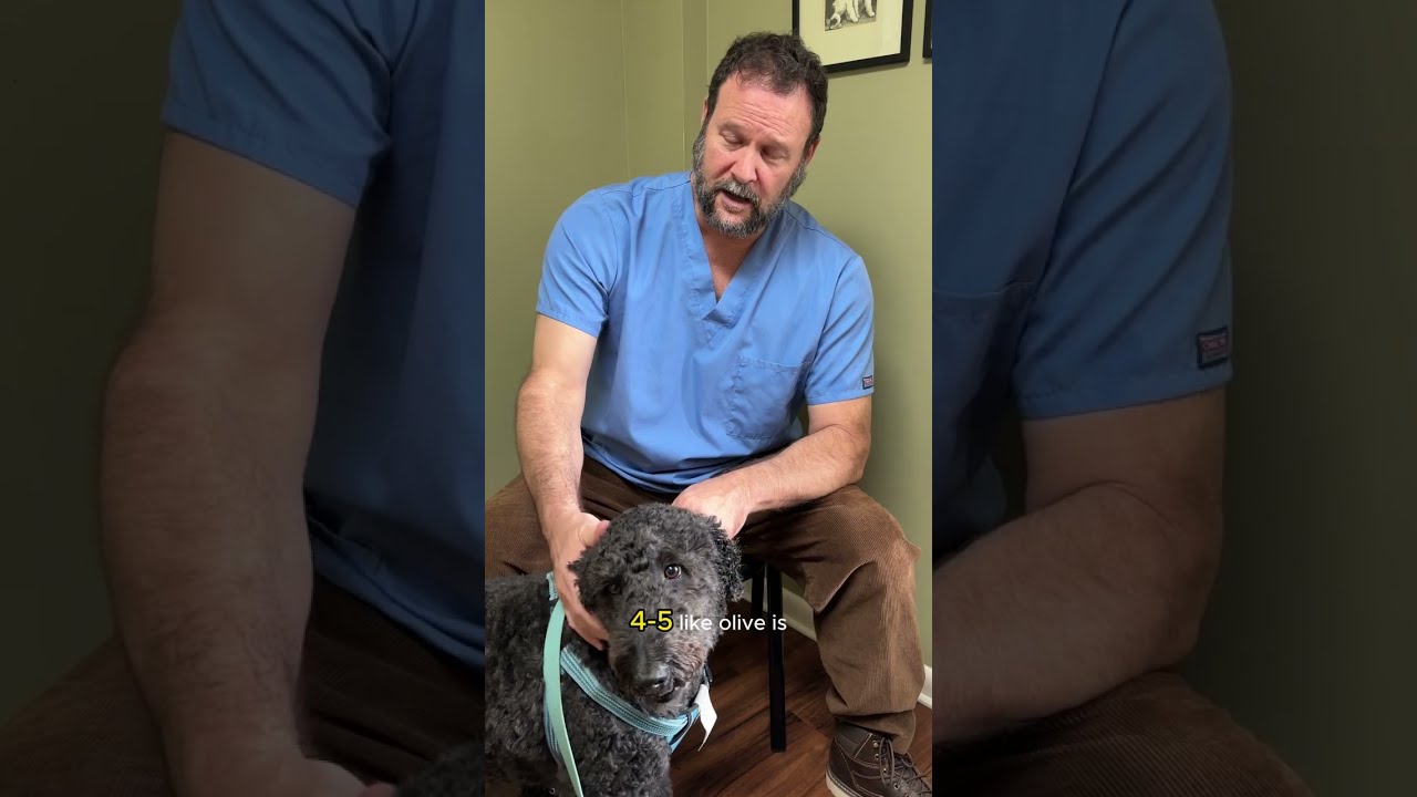 Distemper and Parvo Vaccination Insights with Marc Smith, DVM, MS