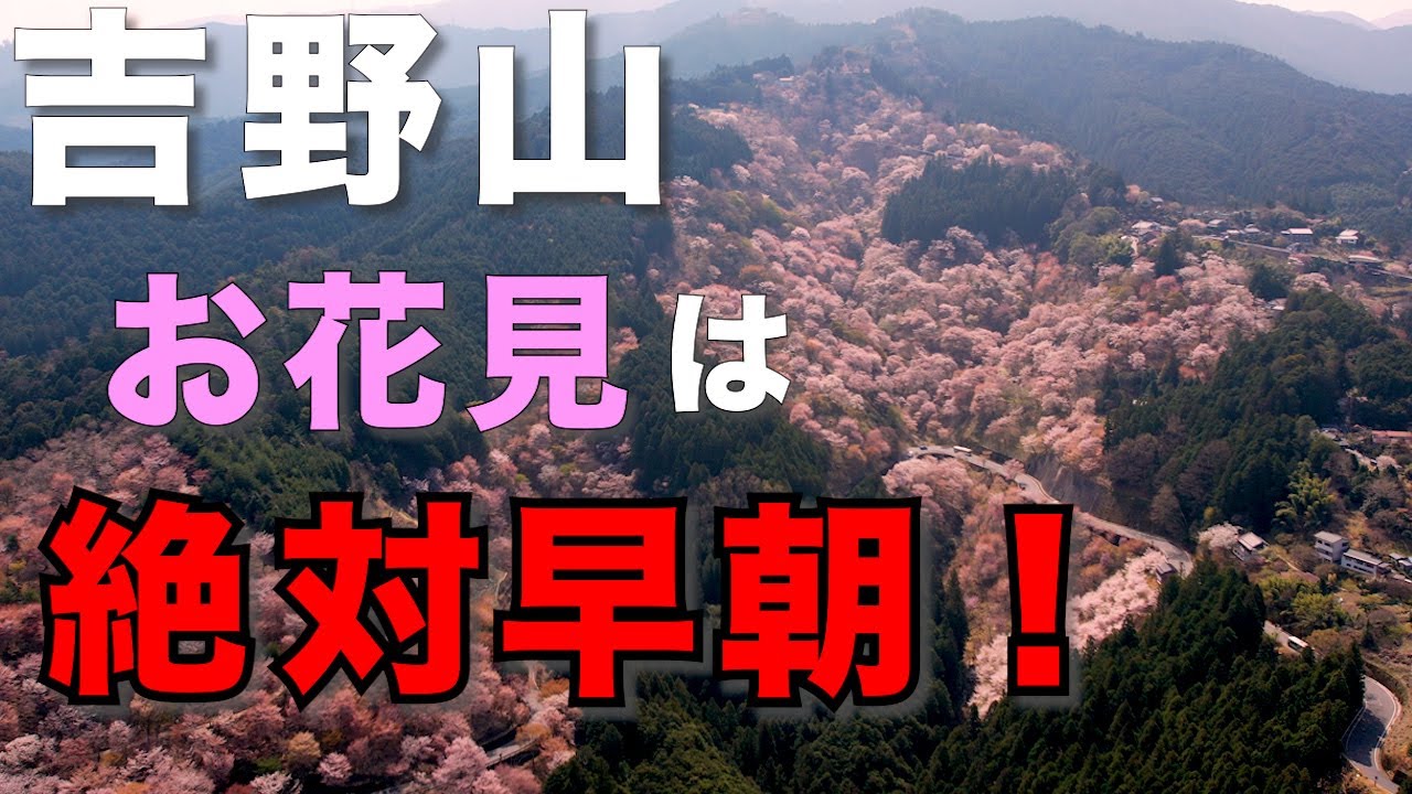 [吉野山]　日本一の千本桜🌸　毎年のお花見ハイキングに役立つ情報満載