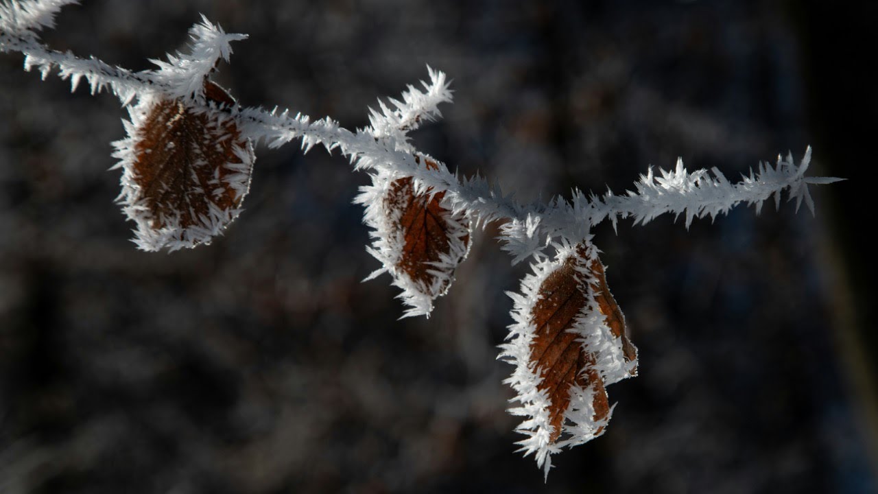 The Presence Posse presents A Winter Trilogy - Episode 1: Presence and Possibilities