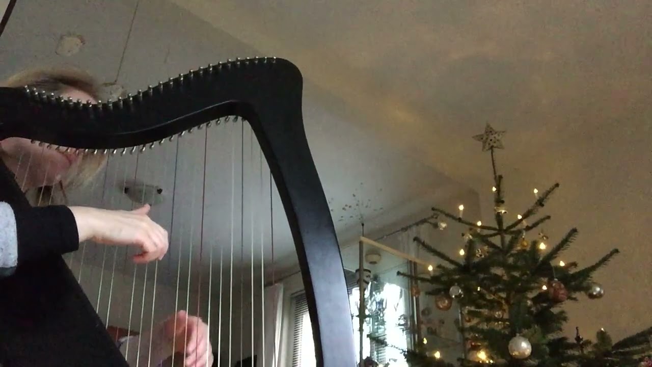 How does this harp sound? Camac Bardic, 27 strings