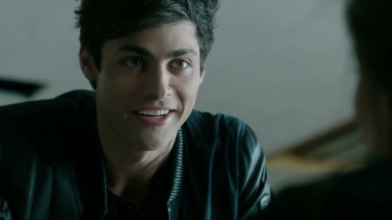 matthew daddario — animals .