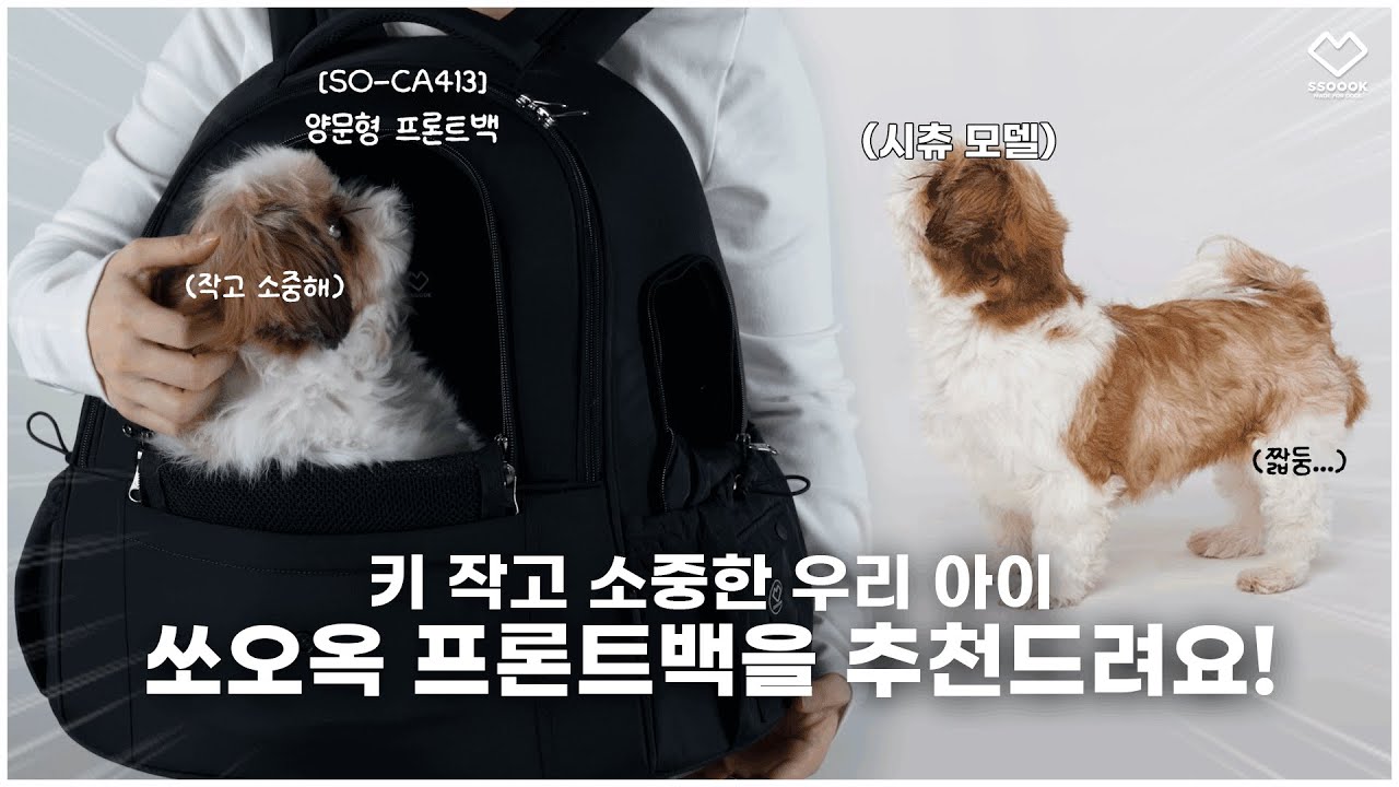 다리 짧은 시츄맘의 이동 가방 추천❗️ 쏘오옥 양문형 프론트백 🎒｜KR EN
