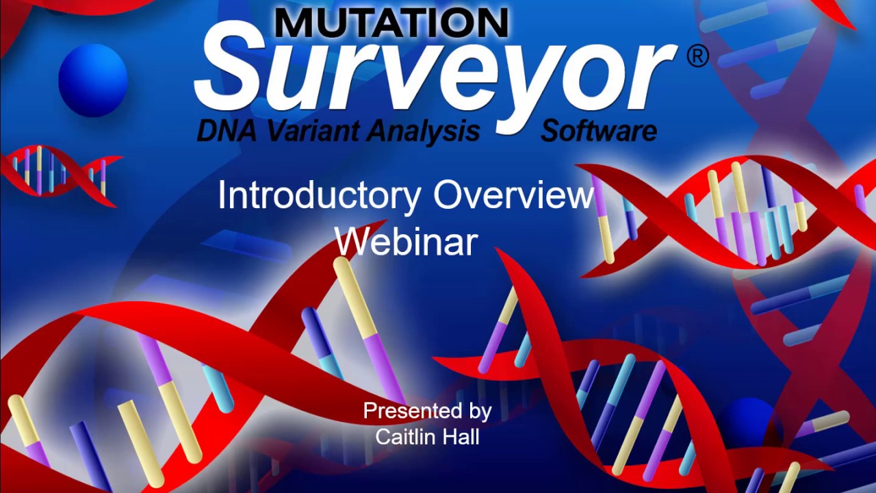 Mutation Surveyor Software Introductory Overview