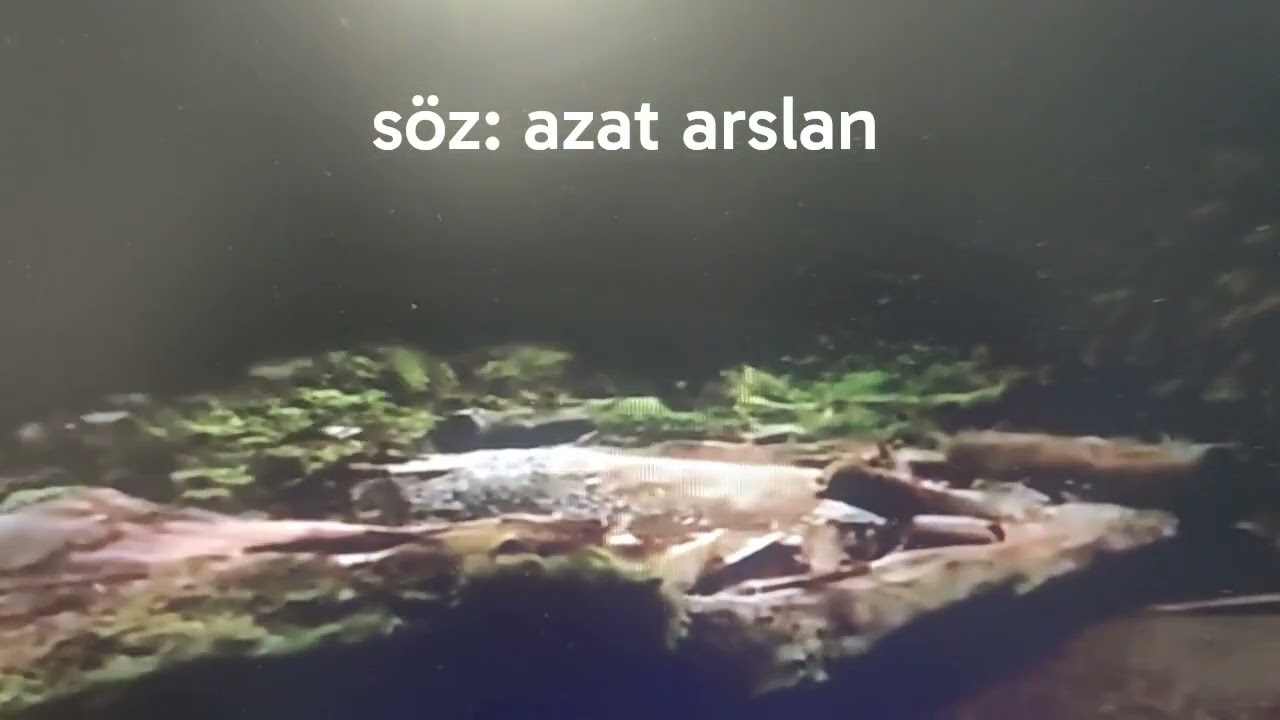Söz:Azat Arslan : Heba Gençliğim 