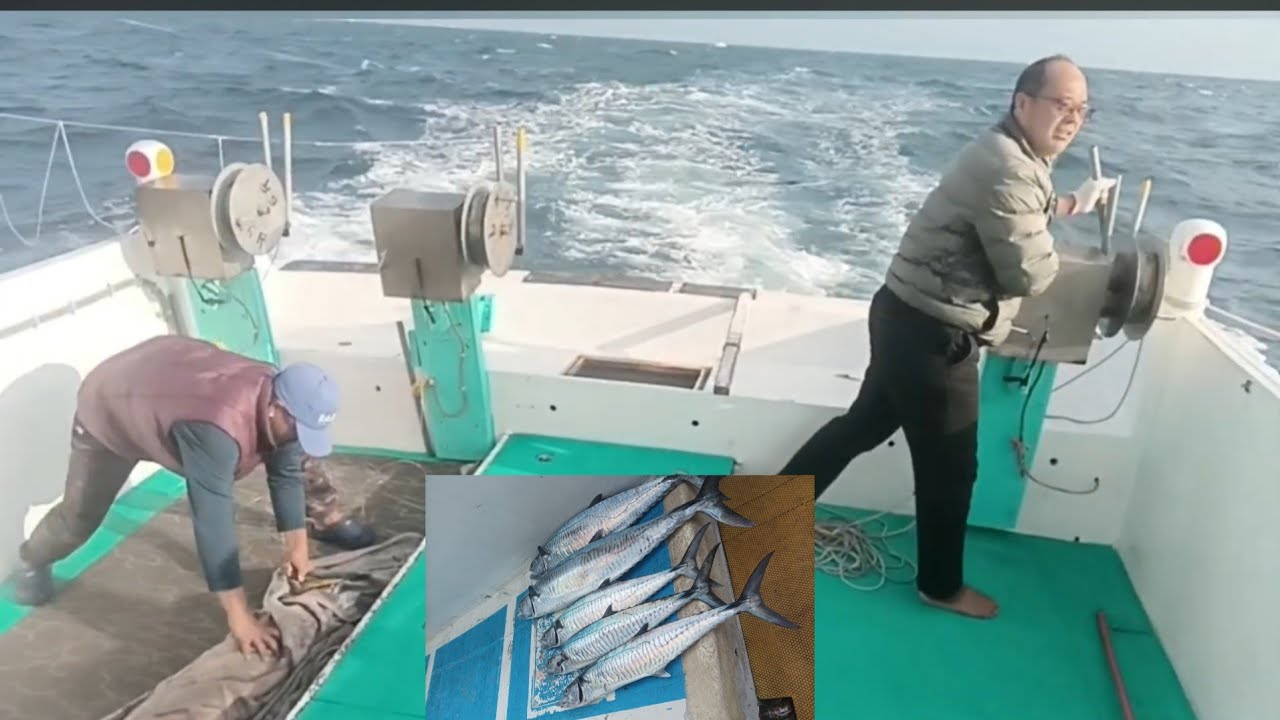 01-13-26 morning /Taiwan fishing boat operation catch king mackerel using artificial bait 