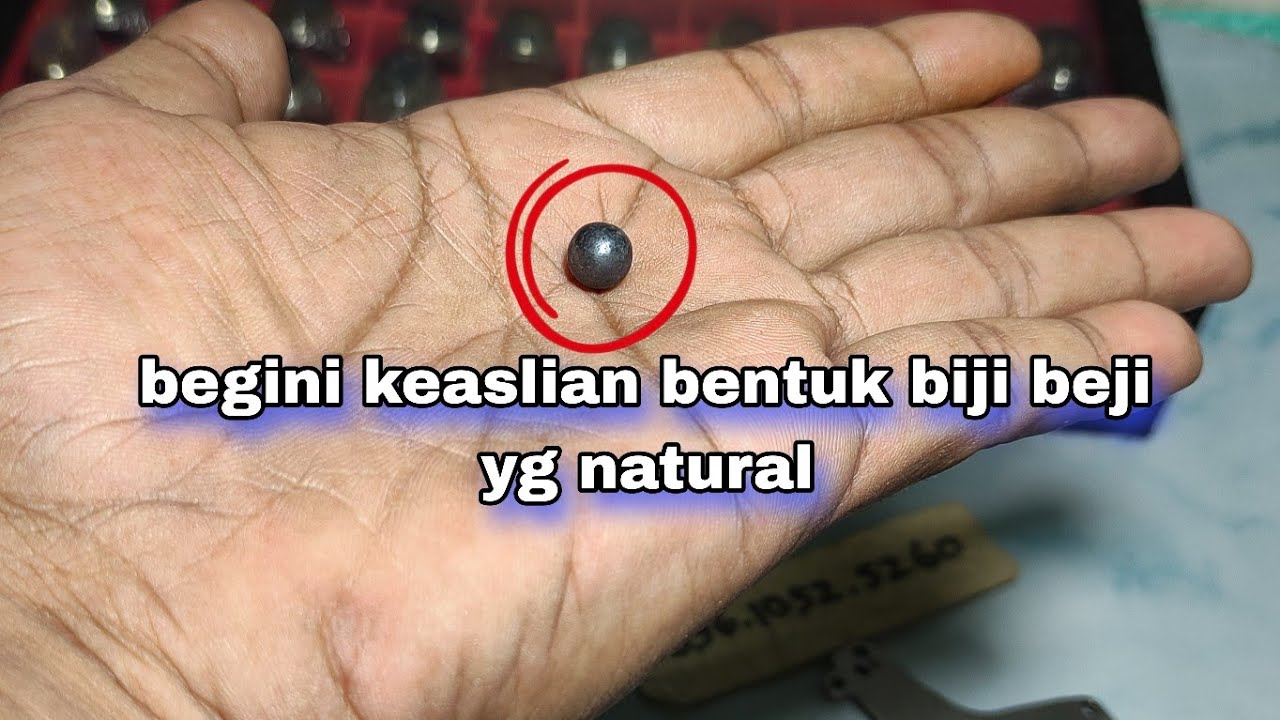 Munta besi/biji besi‼️yg natural,6 Maret 2026
