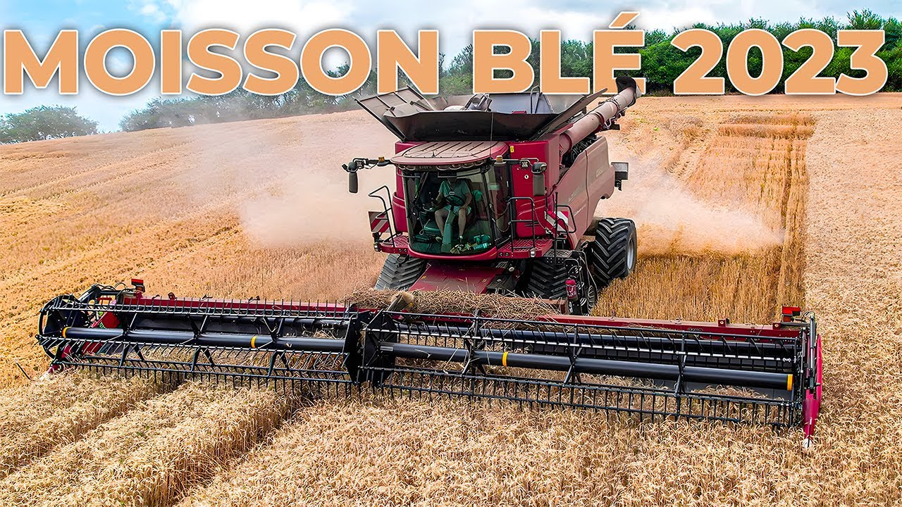 HARVEST WHEAT 2023 on the slopes! 🤠 | CASE AXIAL 9240 in FRANCE