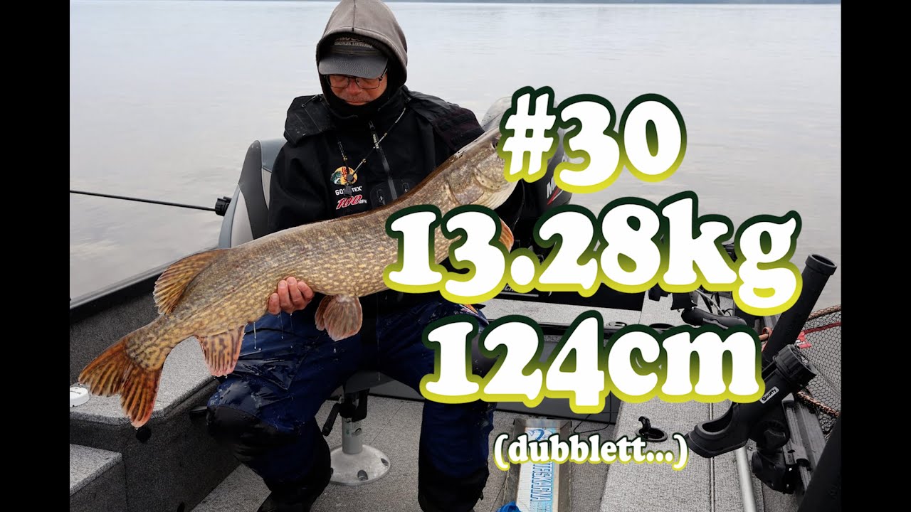 Gädda 10kg+ del 30, 13.28kg