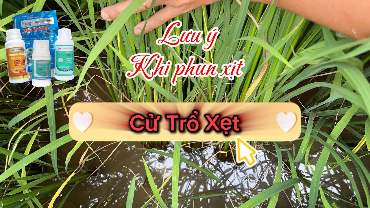 PHUN XỊT CỬ TRỔ LẸT XẸT - Nên hay không nên bỏ vi khuẩn?