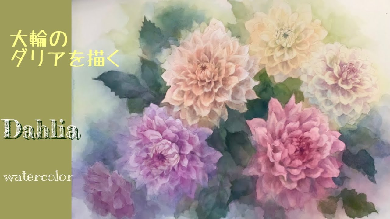 大輪のダリアを描く  #水彩画初心者  #水彩画ハウツー   #demonstration   #watercolor   #水彩画花 #drawing  #水彩画ダリア#水彩画描き方
