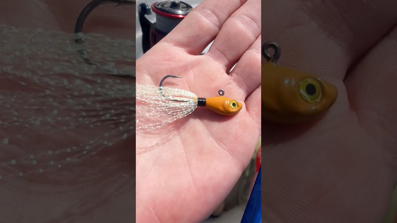 Fish Head Assassin Tackle #fishing #fishheadassassin