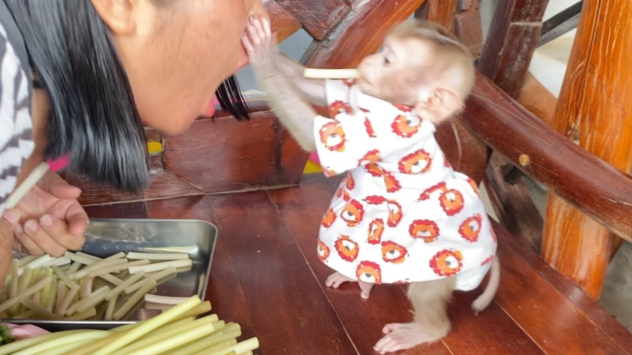 Like Silly Girl In Rob Outfit Stand Up To Catch Mom's Face