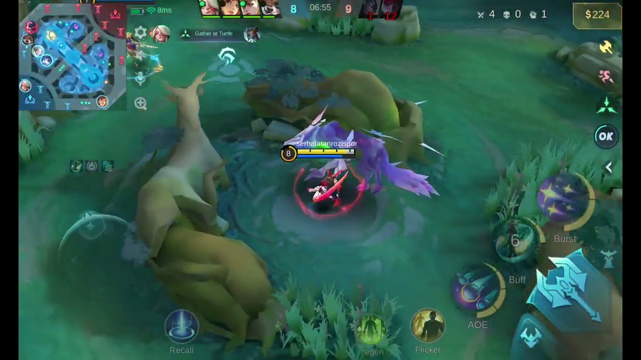 MOBILE LEGENDS PART 375 PROFESSIONAL CHANGE GAMEPLAY