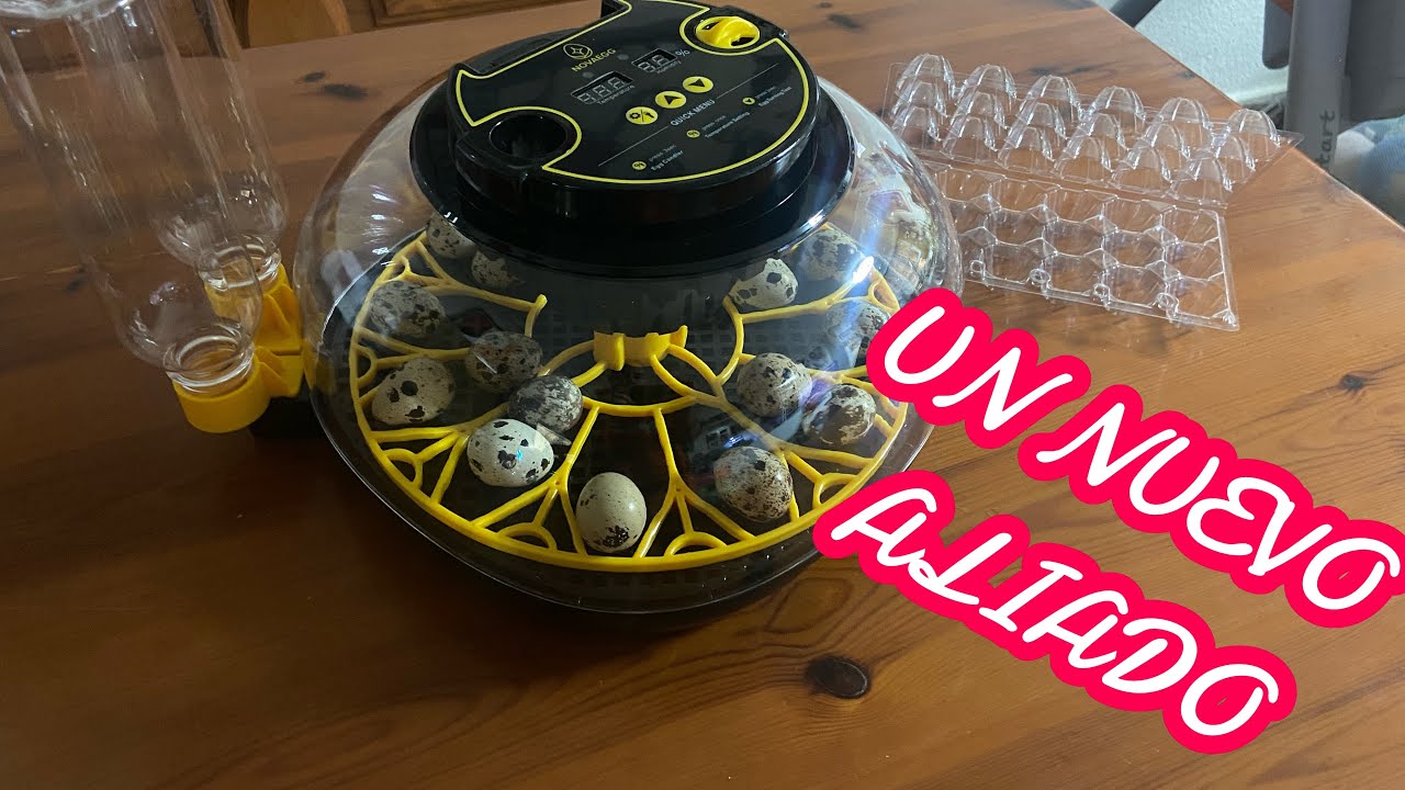 INCUBADORA NOVAEGG M12H nuestro nuevo aliado!! 