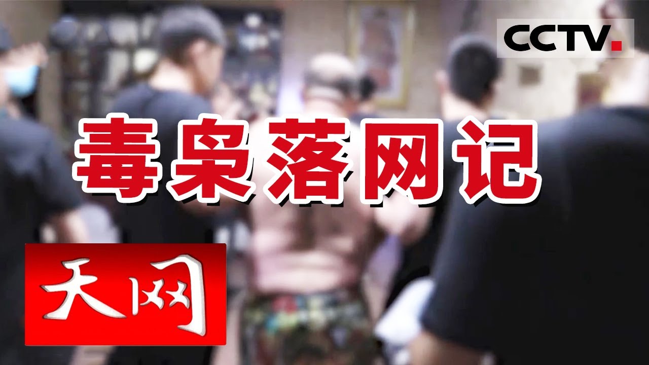 《天网》毒枭落网记！实拍大宗毒品交易过程 警方耗时一年终于将贩毒网络一网打尽 | CCTV社会与法