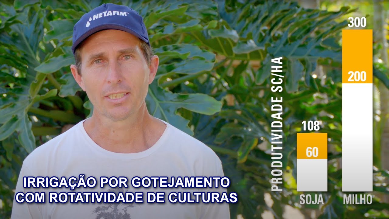 Irrigação Subterrânea de Milho em Cocalzinho de Goiás (Netafim)