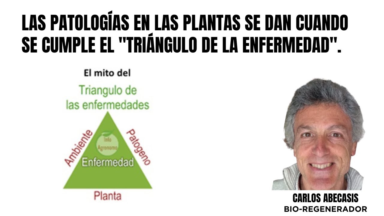 Las patolog&iacute;as en las plantas se dan cuando se cumple el 