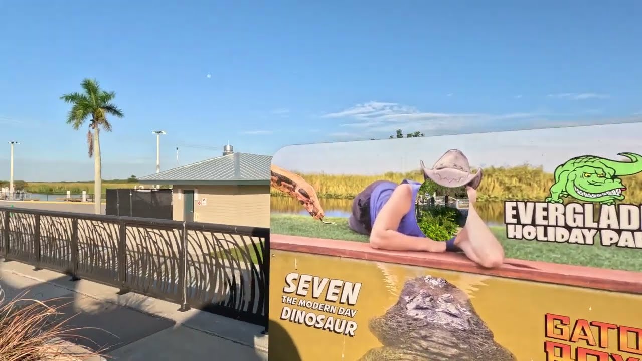 Everglades Holiday Park - Local Knowledge - Sightseeing Destination