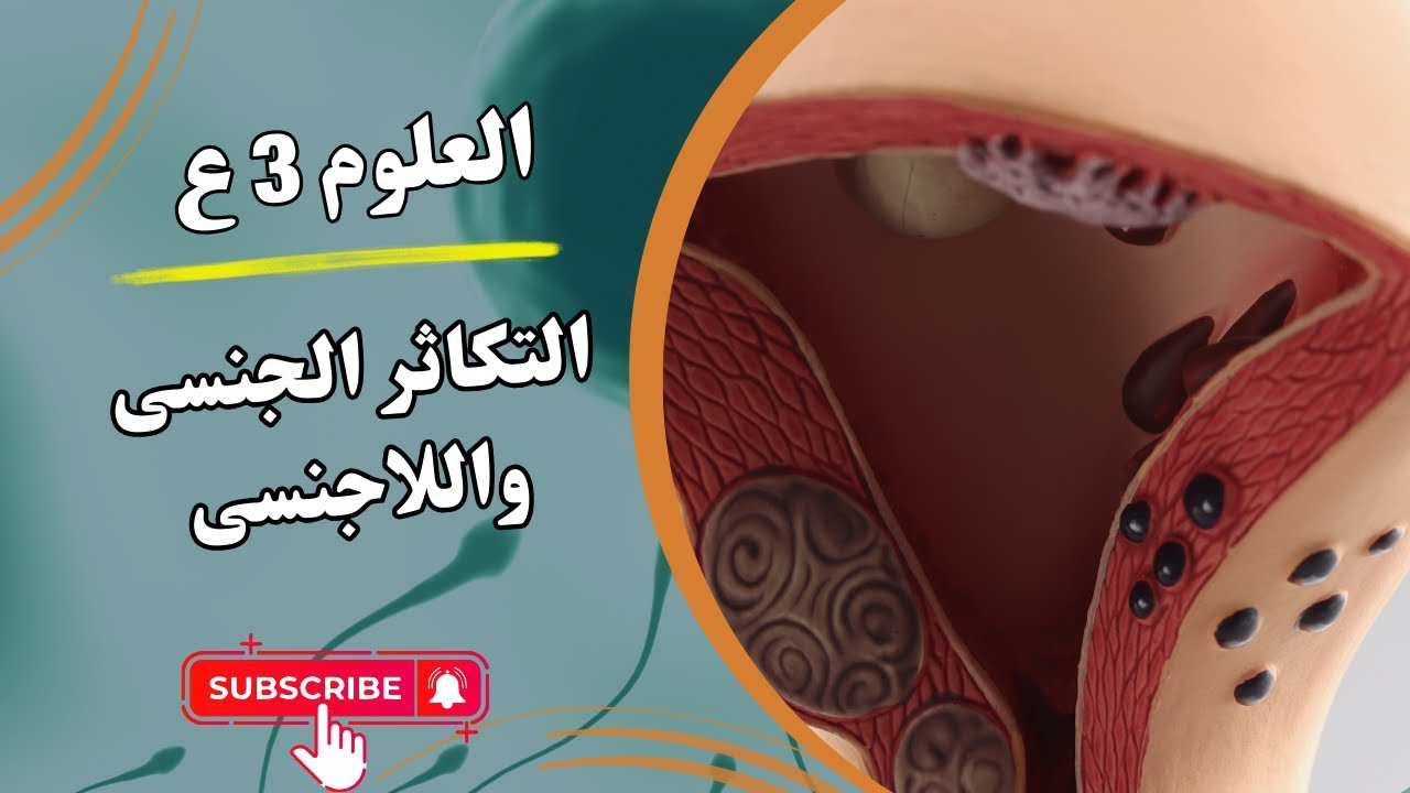 العلوم 3 ع | الوحدة الرابعة | التكاثر الجنسى واللاجنسى