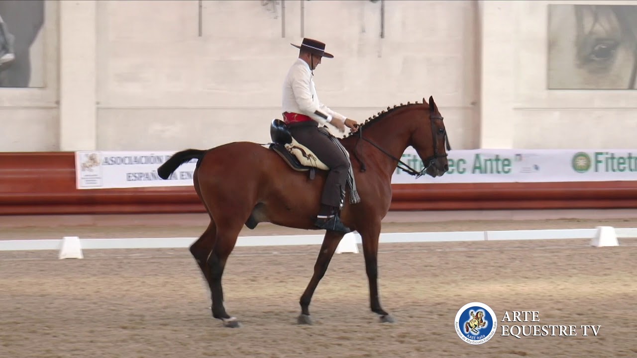 AAEE ITALIA - CAMPIONATO ITALIANO DOMA VAQUERA E COPPA ITALIA - 5&deg; TAPPA - ALESSANDRO UGGERI