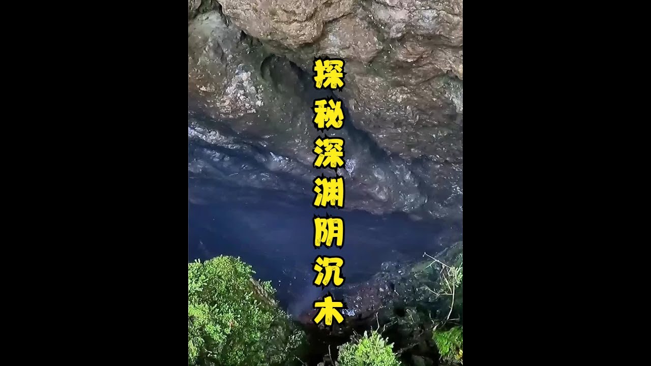 探秘黑烟囱天坑，底部发现超大阴沉木，一条龙形洞道赫然眼前 #黑烟囱天坑 #超大阴沉木 #户外行军蚁