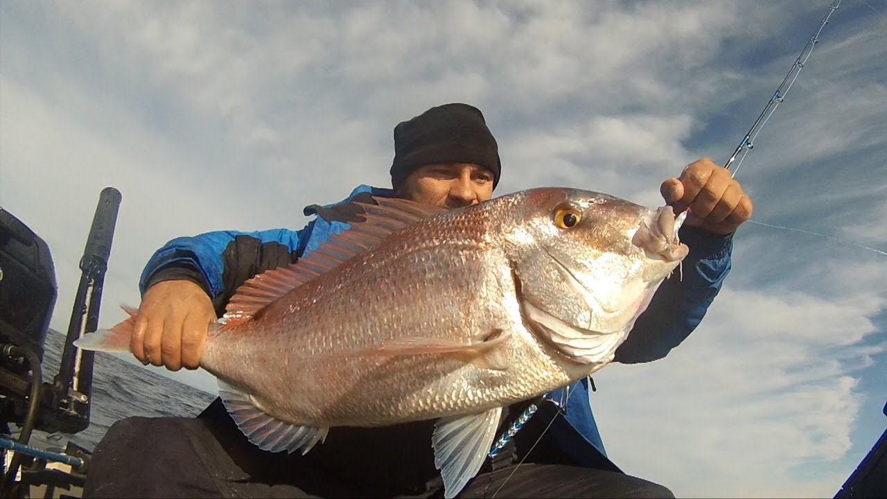 Inchiku for Red Porgy (Pagrus pagrus) &Psi;ά&rho;&epsilon;&mu;&alpha; &phi;&alpha;&gamma;&kappa;&rho;&iota;ώ&nu; &mu;&epsilon; Inchiku