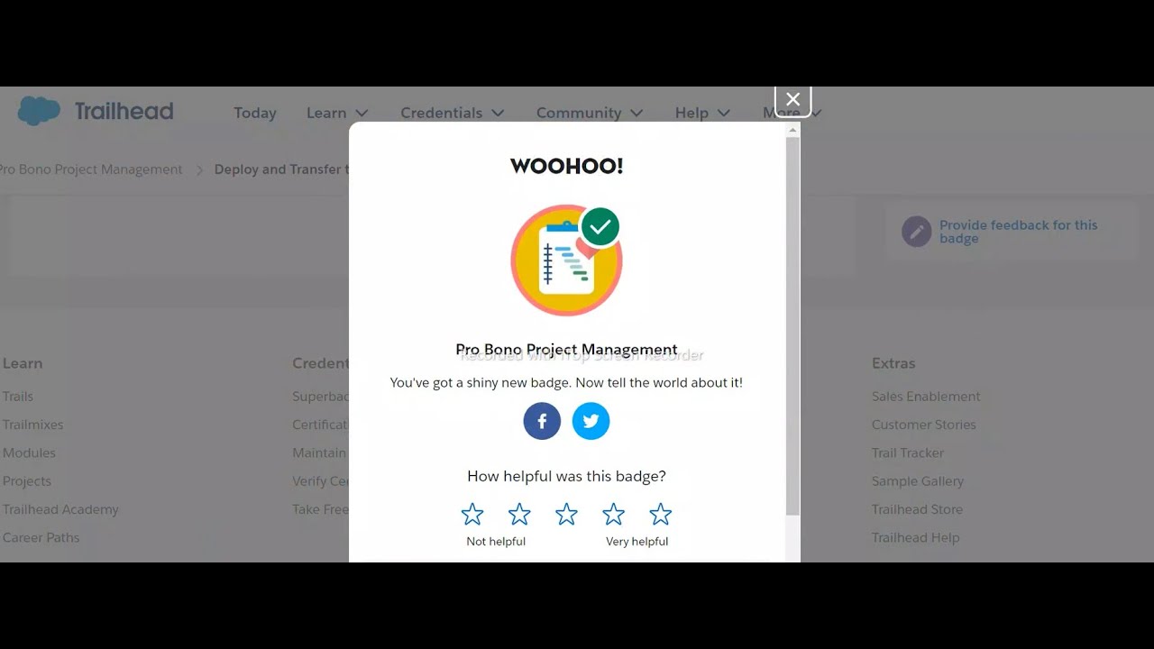 Pro Bono Project Management | Salesforce