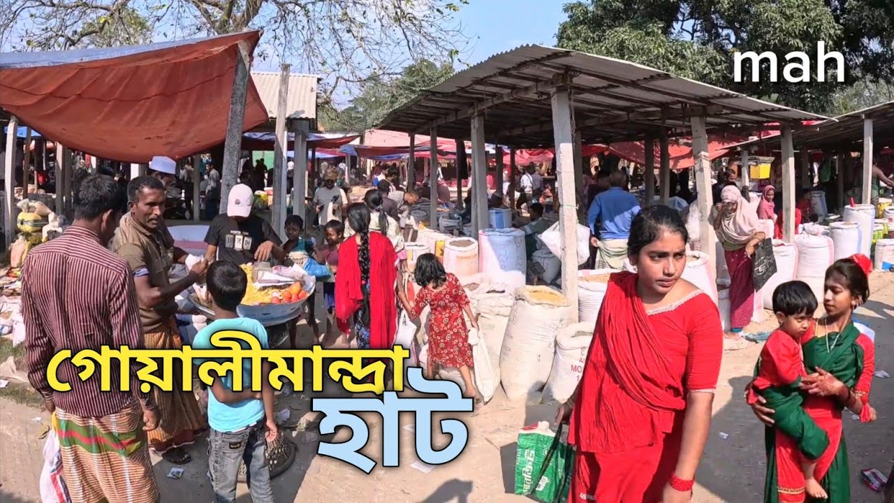 পদ্মা পাড়ের গ্রামীণ হাট || ঐতিহ্যবাহী গোয়ালীমান্দ্রা বাজার || লৌহজং মুন্সিগঞ্জ 