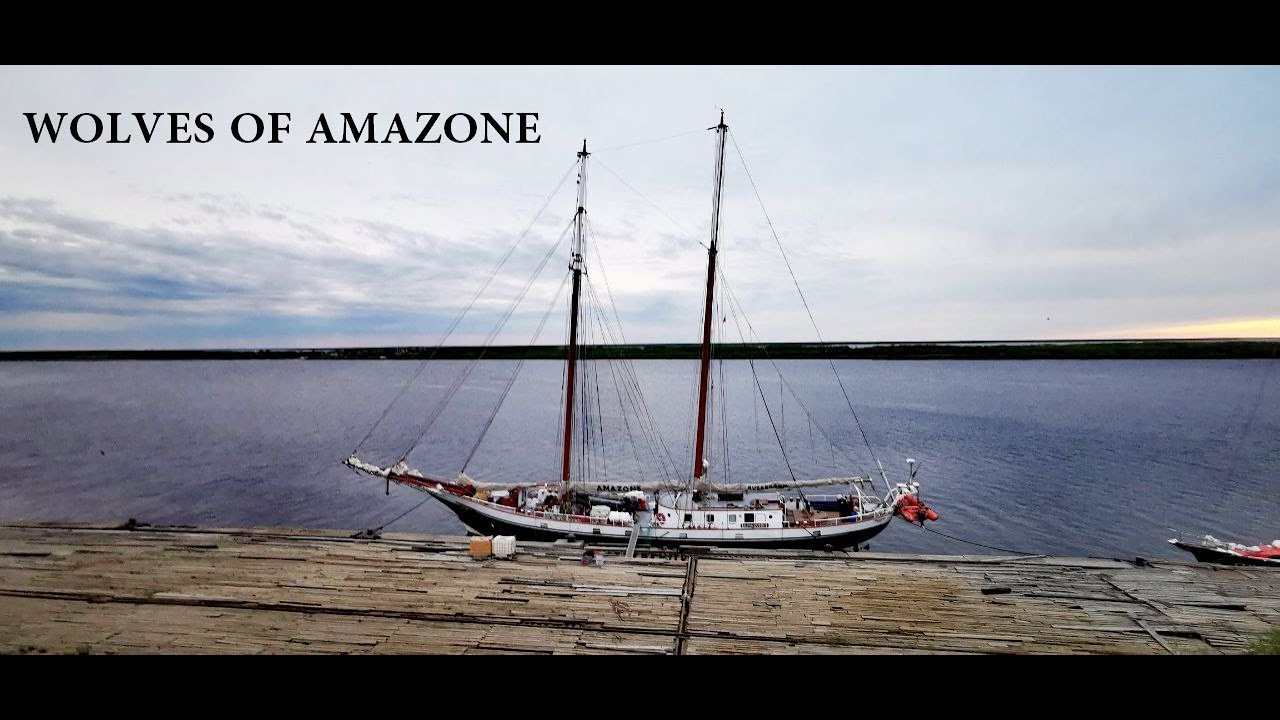 Wolves of Amazone