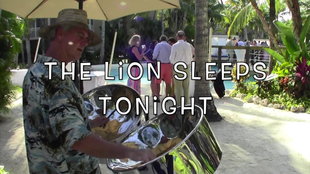 The Lion Sleeps Tonight - steel drum reggae cover