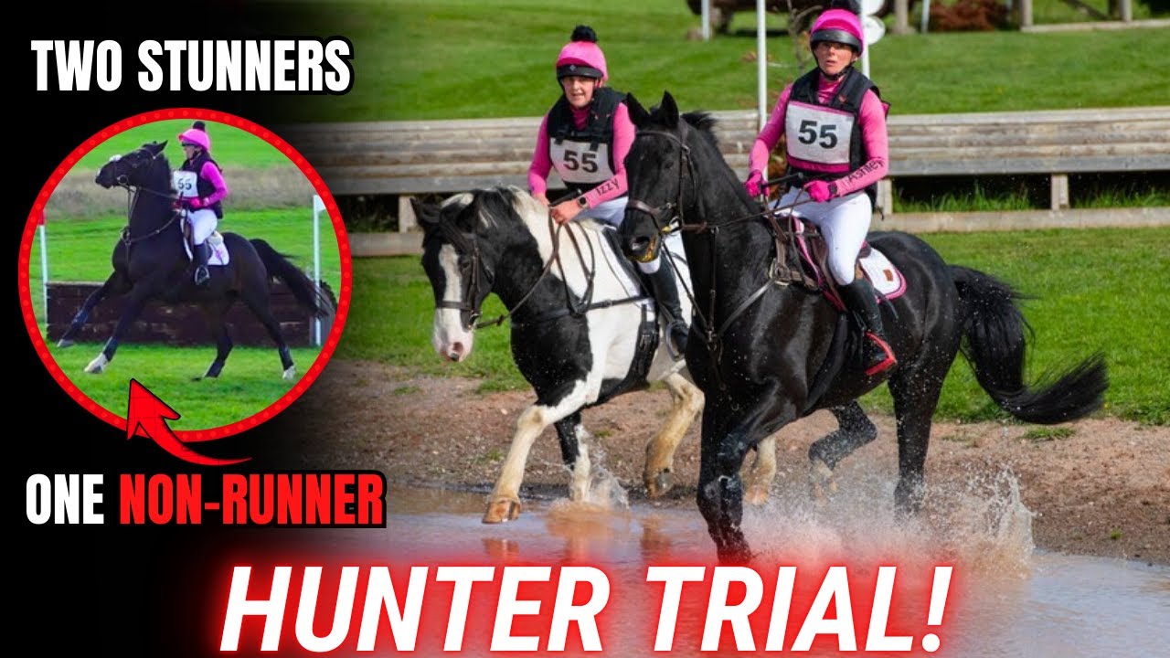 HUNTER TRIAL WITH THREE HORSES | TWO STUNNERS & ONE NON-RUNNER! || VLOG 205