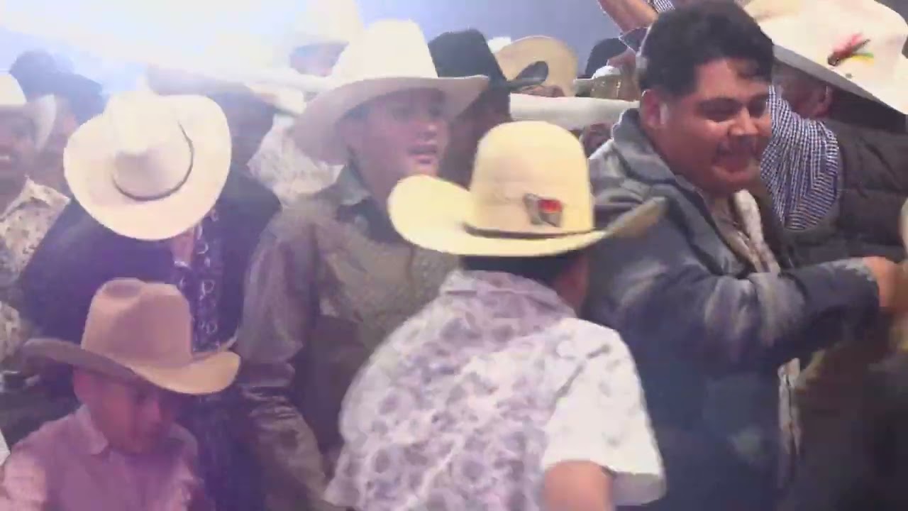 Gustavo y Manuela y su Vals Viboritas con Banda La Maxima