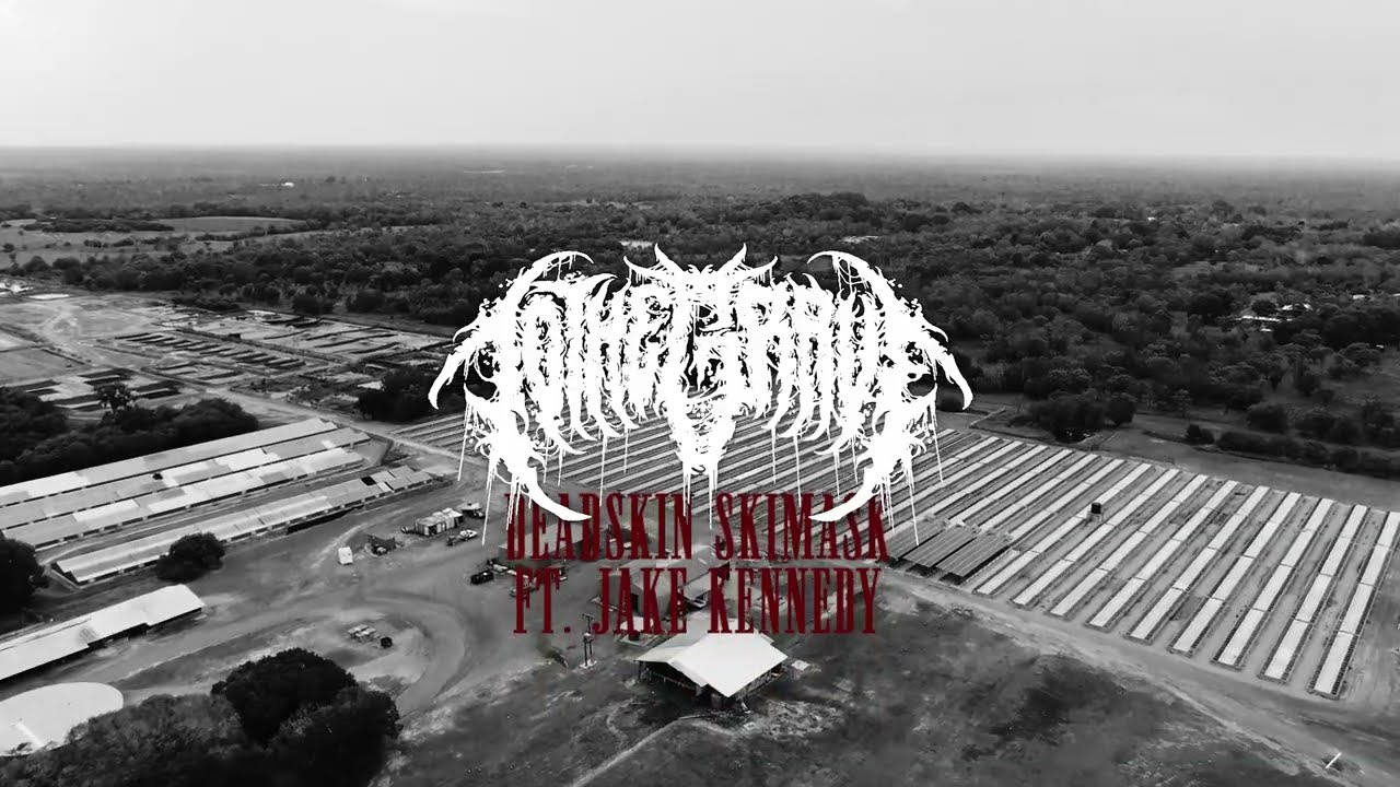 TO THE GRAVE - Offcuts EP - VISUALISER STREAM