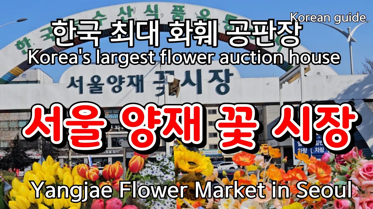 양재 꽃 시장 서울 서초구 서초동 한국 최대 꽃들의 대잔치//Yangjae Flower Market, Seocho-gu, SEOUL