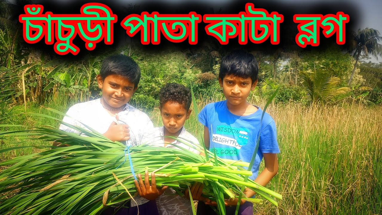 Kids Cutting Leaves for Chanchuri Near My House